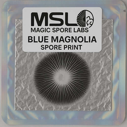 Blue Magnolia Mushroom Spore Print