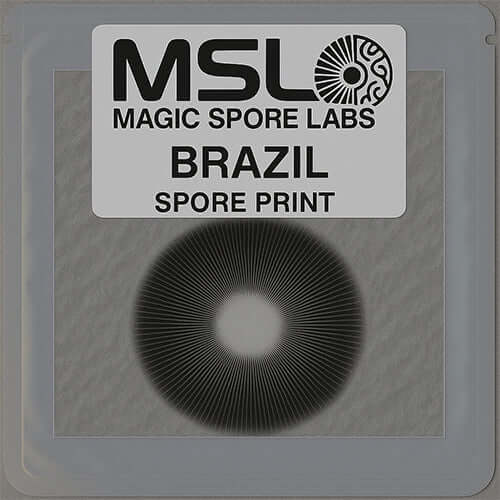 Brazil Mushroom Spore Prints