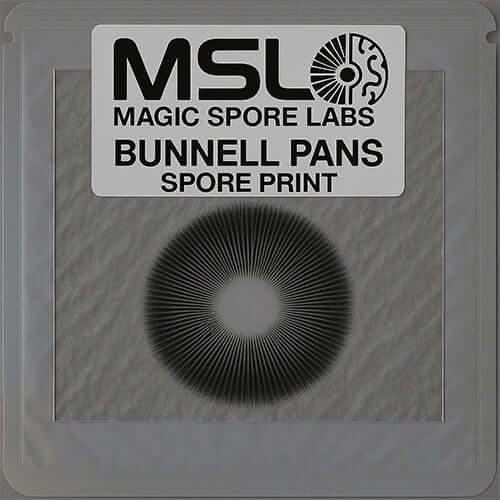 Bunnell Pans Mushroom Spore Prints