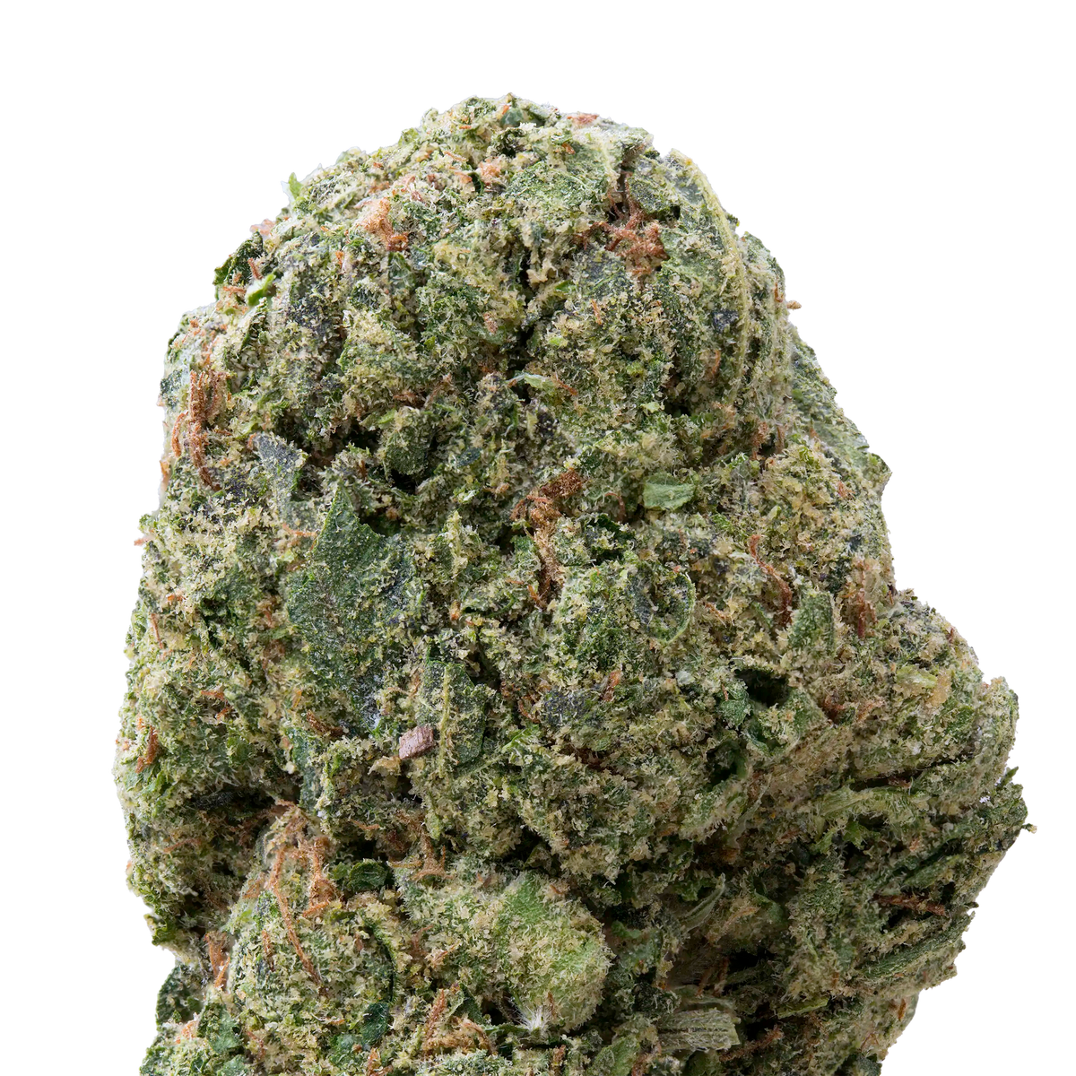 Tropicana Cookies Greenhouse Smalls THCa Flower | 28 Grams
