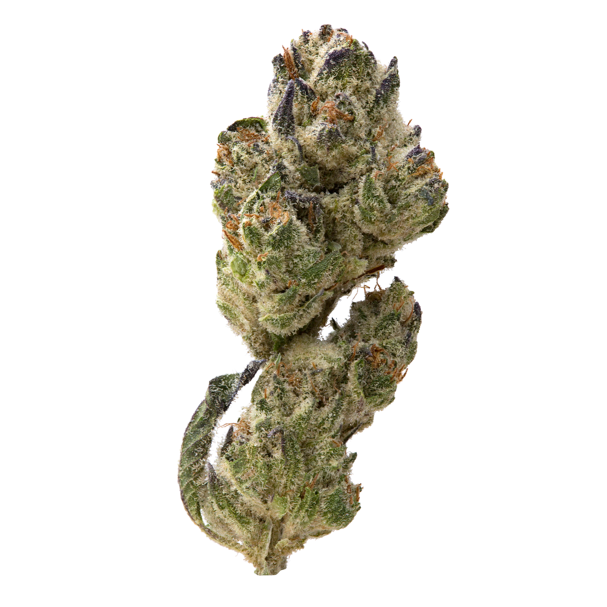 Forbidden Cookies Greenhouse Smalls | 28 Grams