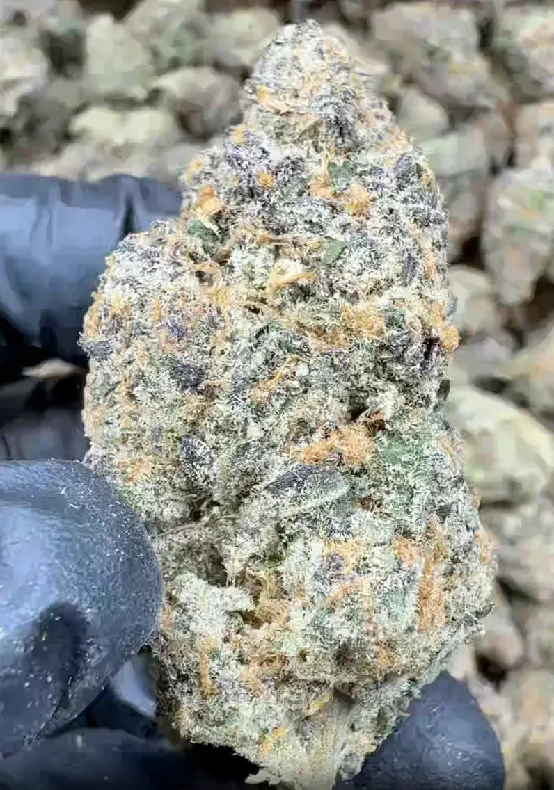 Candyland THCa Flower