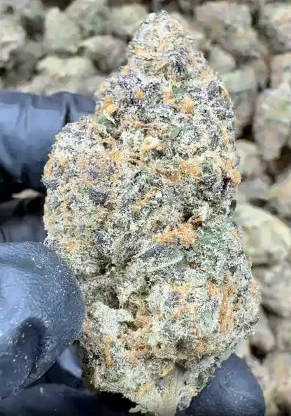Candyland THCa Flower