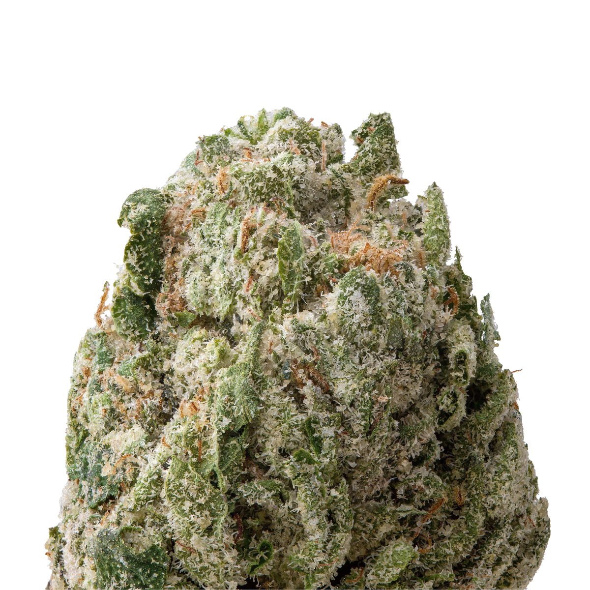 Candyland THCa Flower