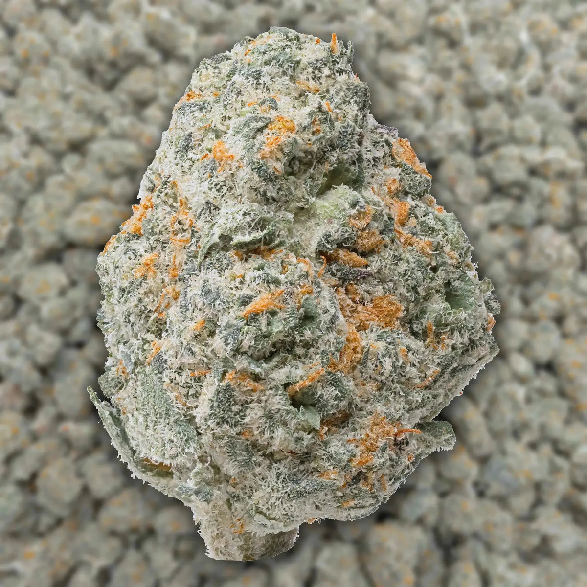 Cereal Milk Smalls THCa Flower