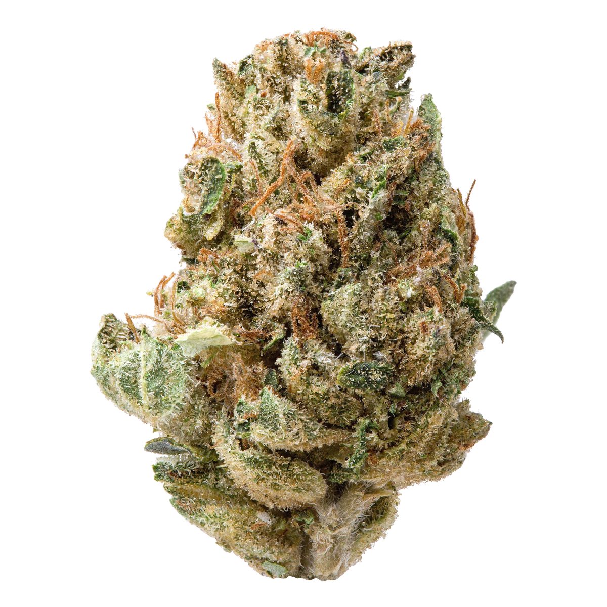 Durban Cookies Smalls THCA Flower