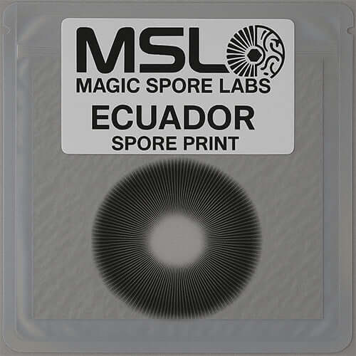 Ecuador Mushroom Spore Prints
