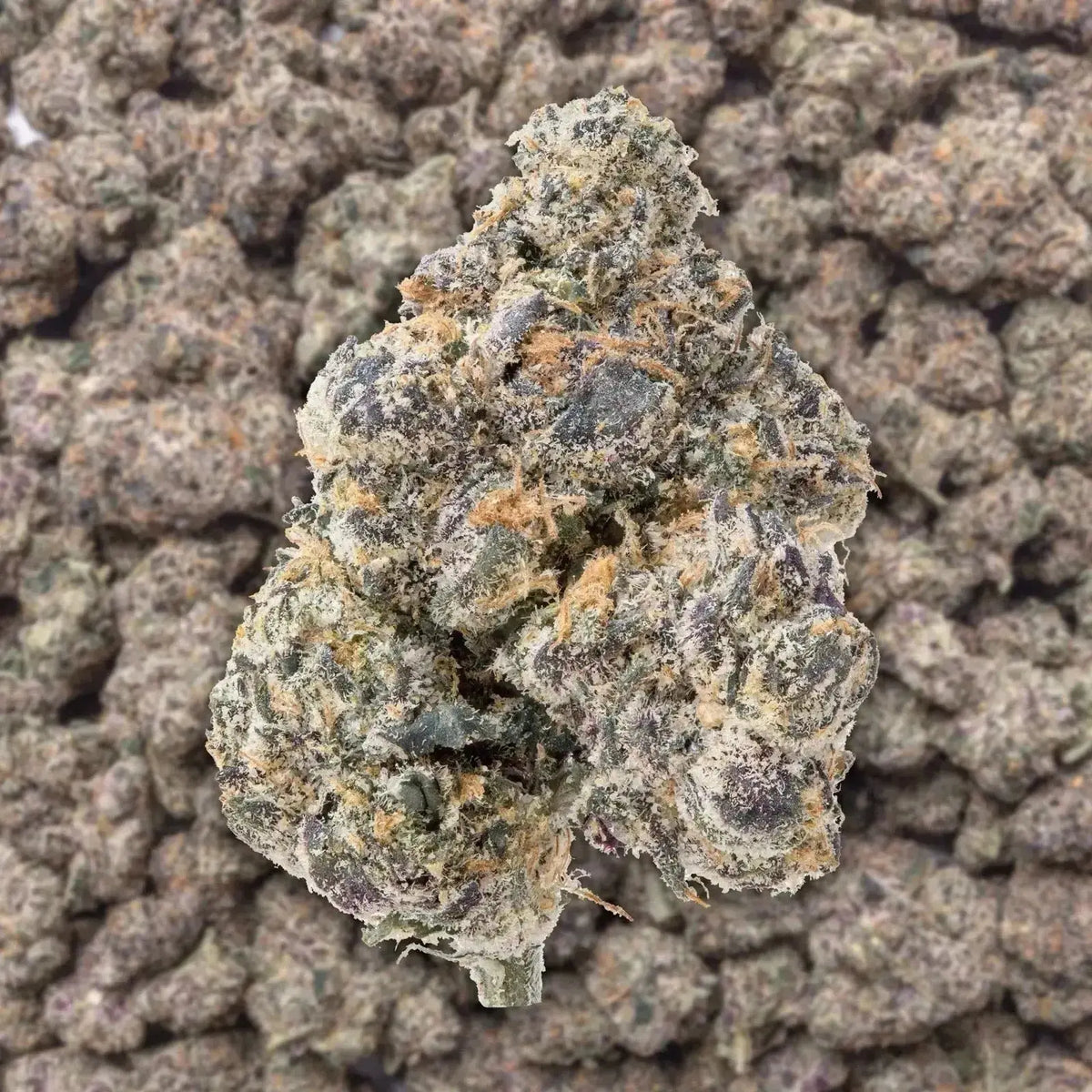 GMZ THCa Flower Ounce