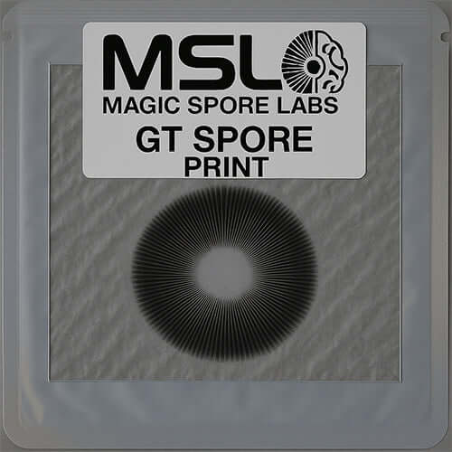 Golden Teacher Mushroom Spore Prints