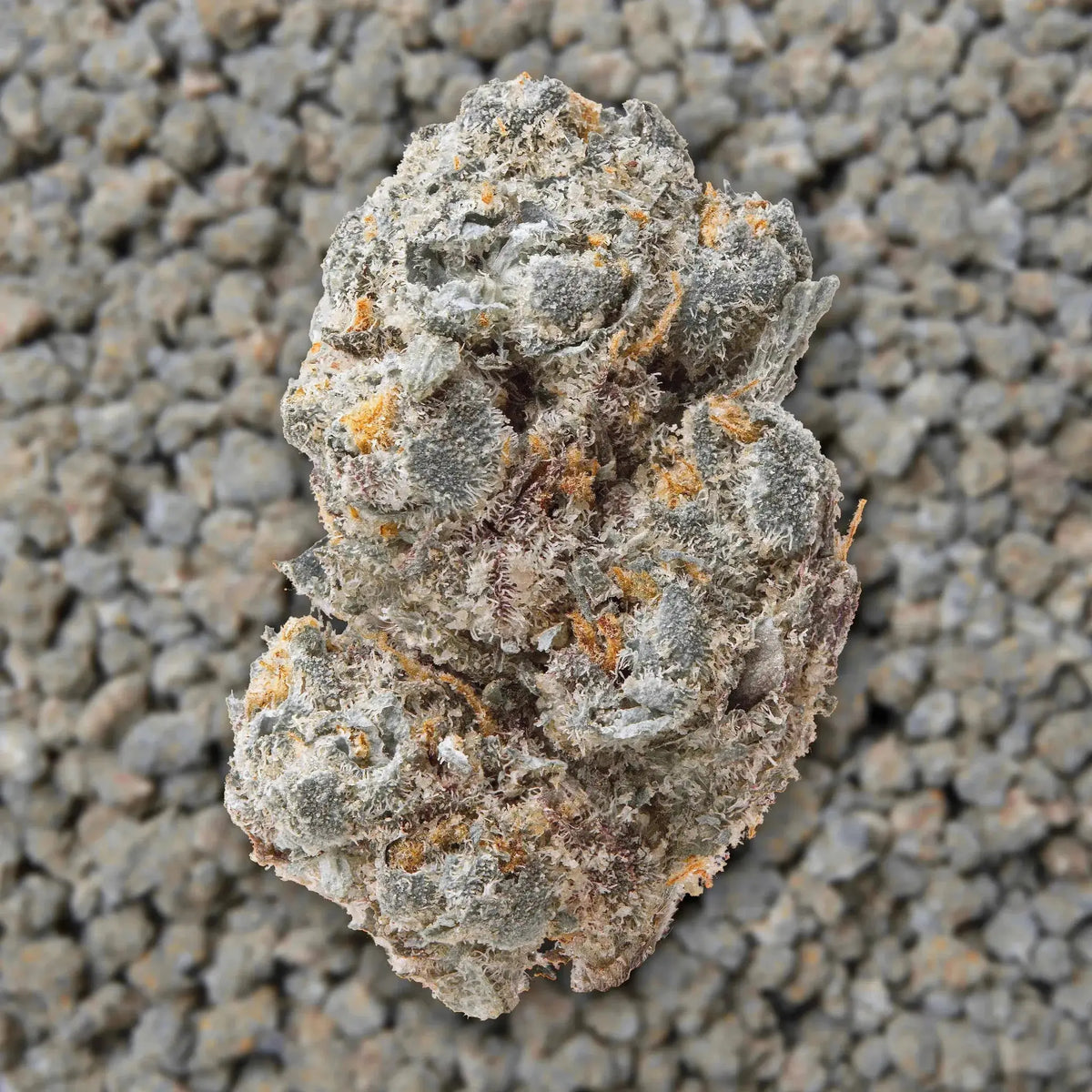 Gary Payton Smalls THCa Flower