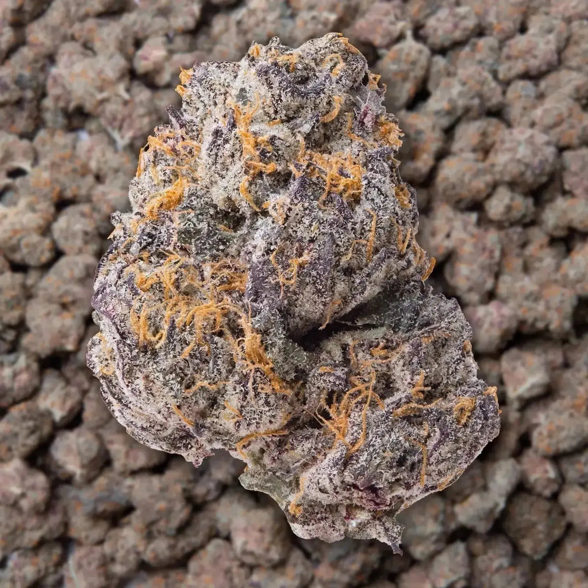 Gary Payton THCa Flower