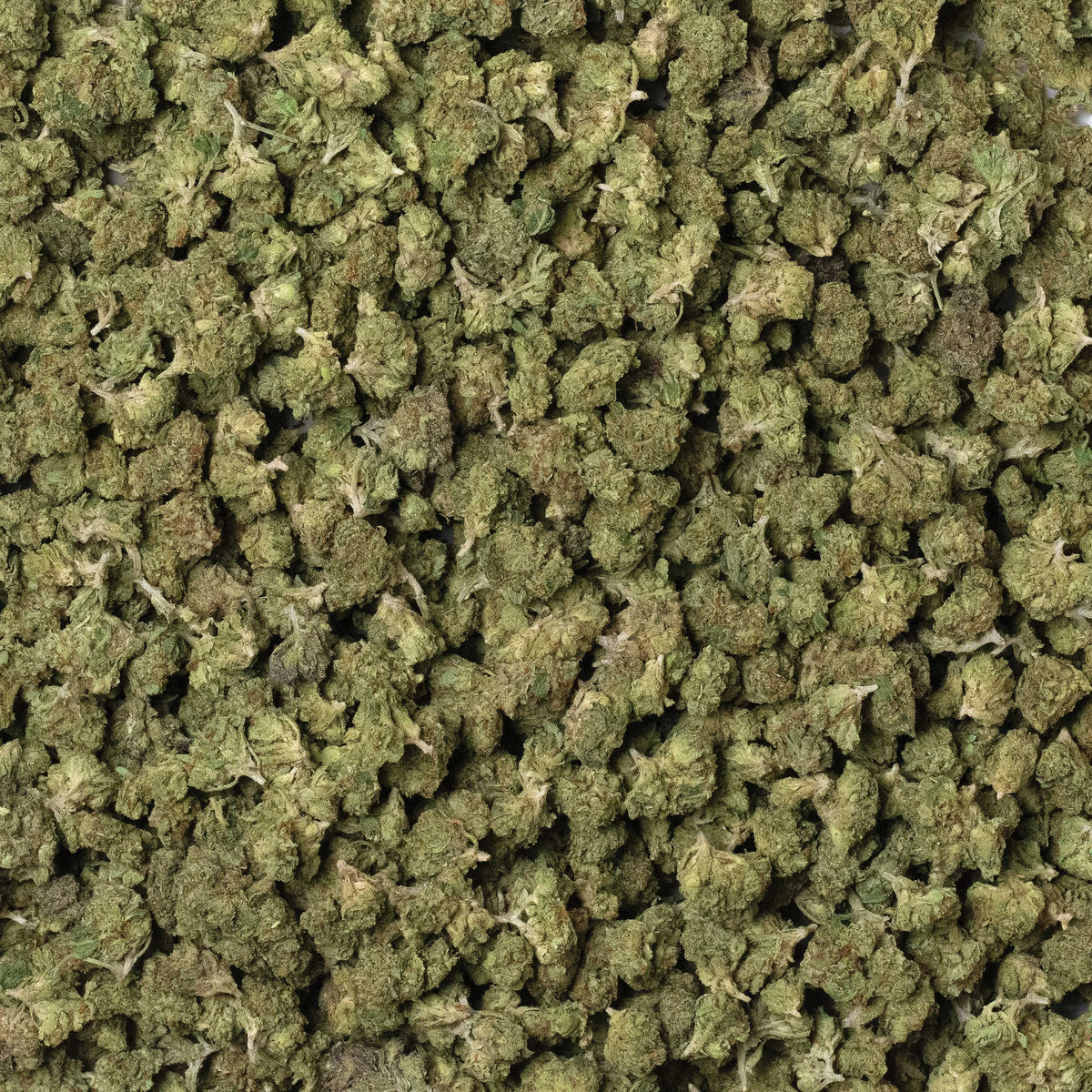 Jet Fuel Gelato Smalls THCa Flower