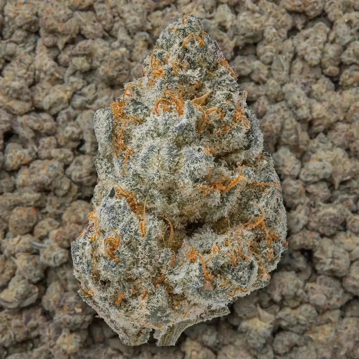 Guava THCa Flower