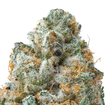 Guava THCa Flower Ounce