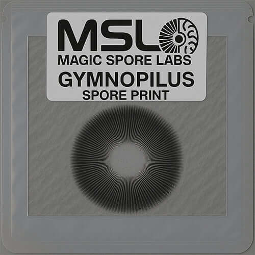 Gymopilus Mushroom Spore Prints