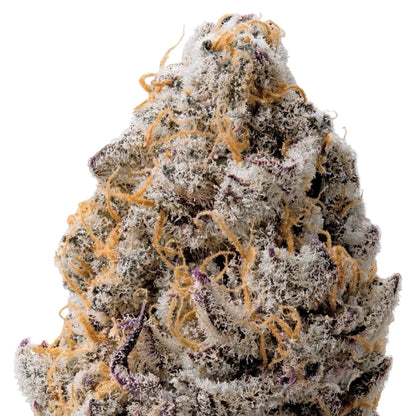 THCa Flower Sampler