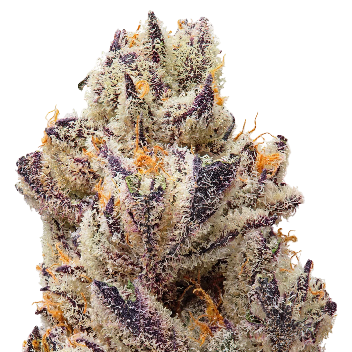 THCa Flower Sampler
