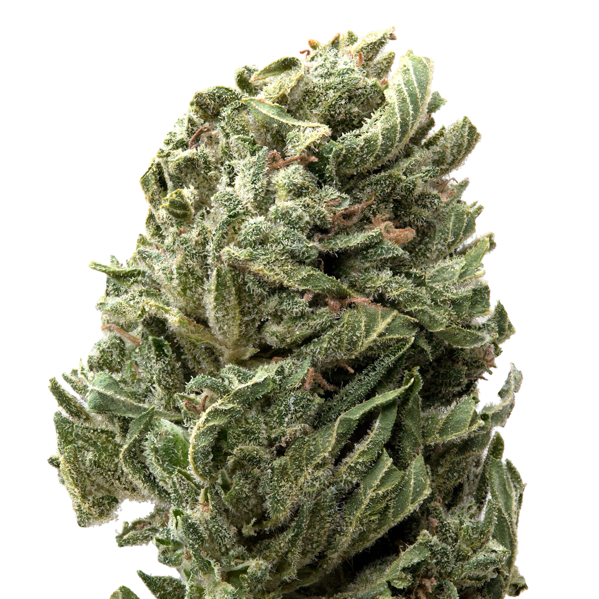 Ounce Deals THCa Flower