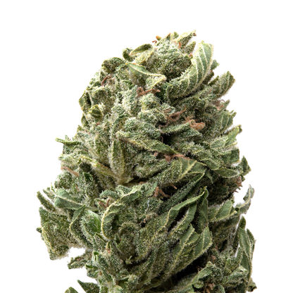 Strawberry Shortcake Greenhouse Smalls THCa Flower | 28 Grams