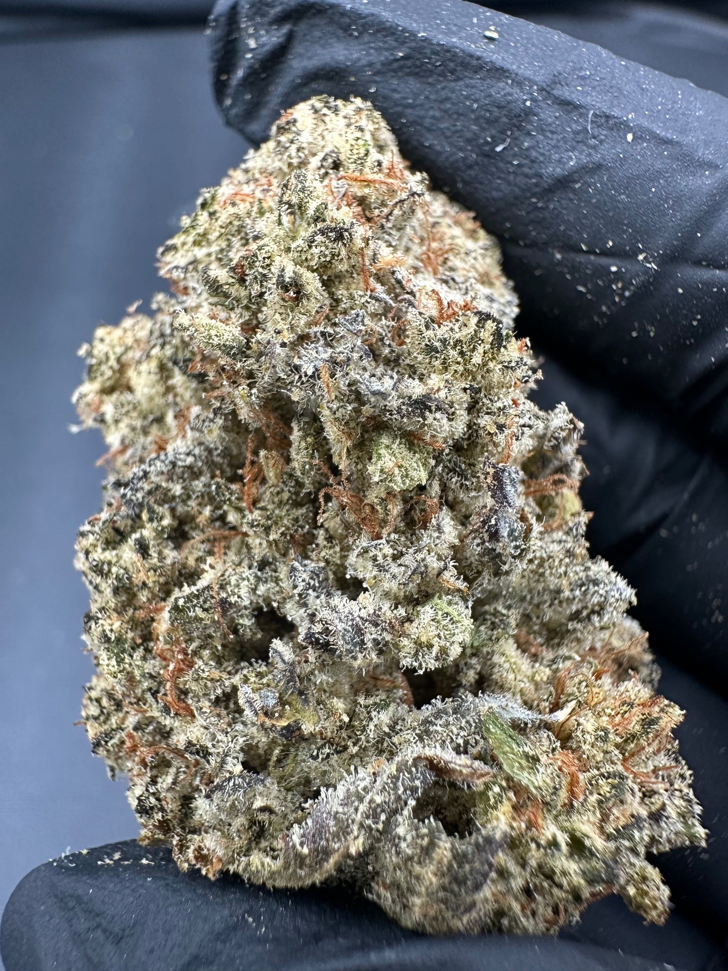 Pineapple Express THCA Flower (Exotic)