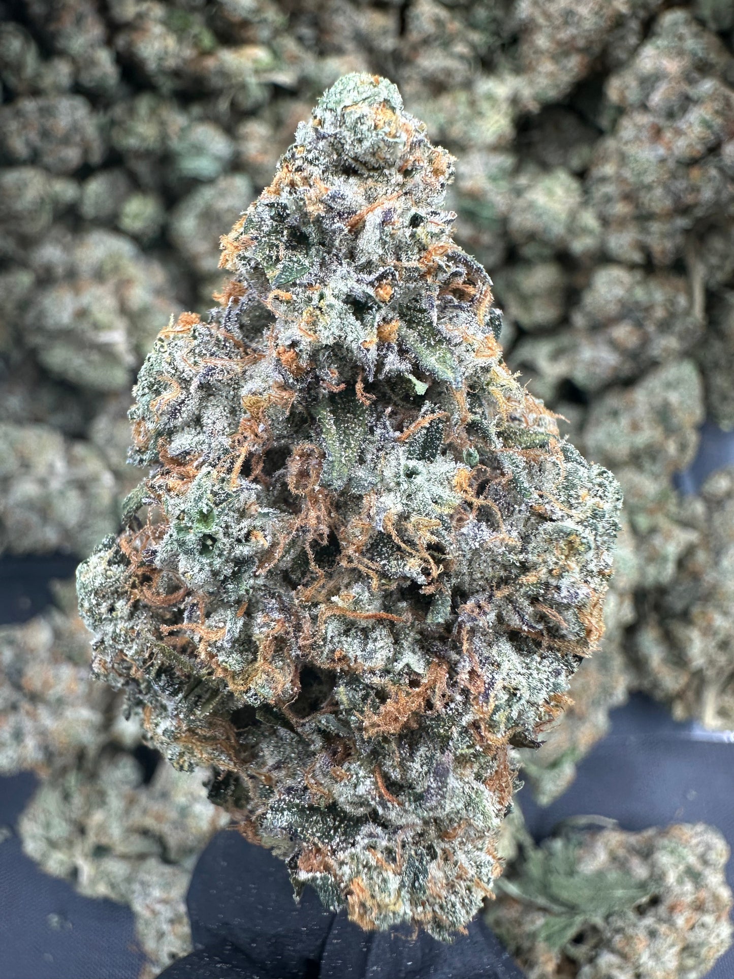 Headband THCA Flower (Exotic)