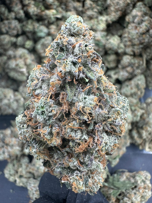 Headband THCA Flower (Exotic)