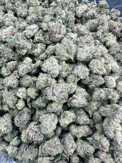 Gelato THCA Flower (Budget)