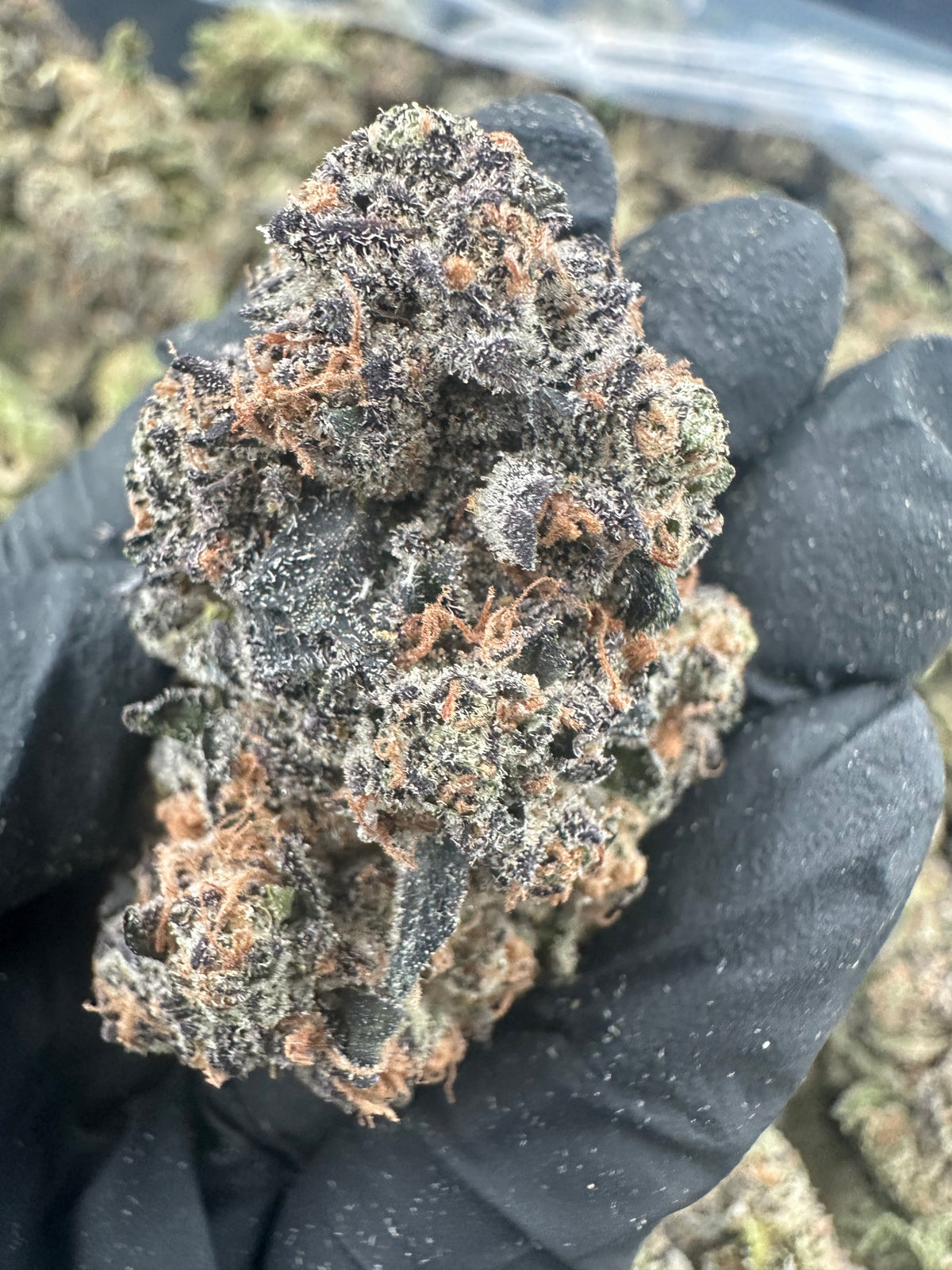 Granddaddy Purple THCA Flower (Exotic)