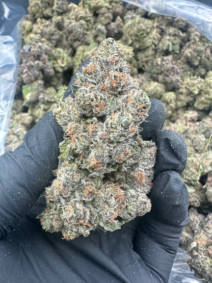 Granddaddy Purple THCA Flower (Exotic)