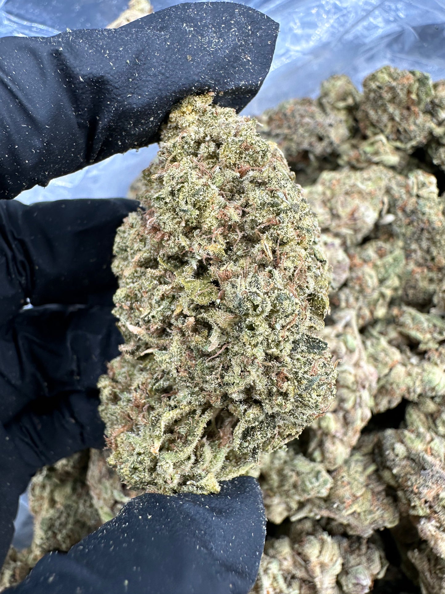 Godfather OG THCA Flower (Premium)