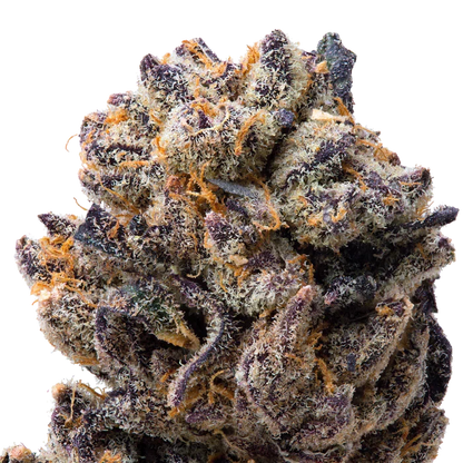 LA Moon THCa Flower