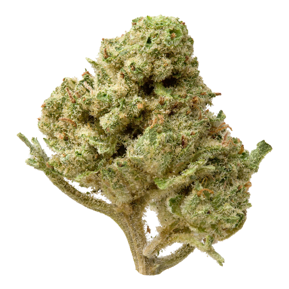 Lemon Fritter Smalls THCA Flower