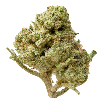 Lemon Fritter Smalls THCA Flower