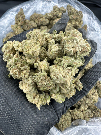 Lemon Haze THCA Flower (Budget)