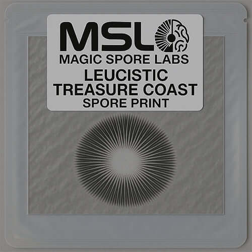 Leucistic Treasure Coast Mushroom Spore Prints