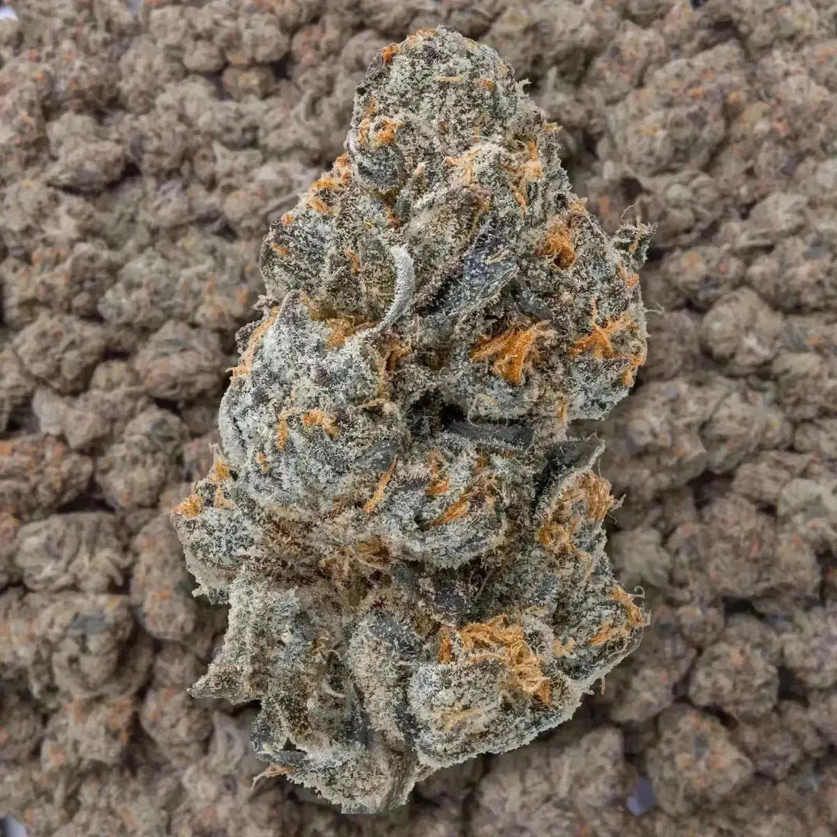 Lemon Cherry Belts THCa Flower
