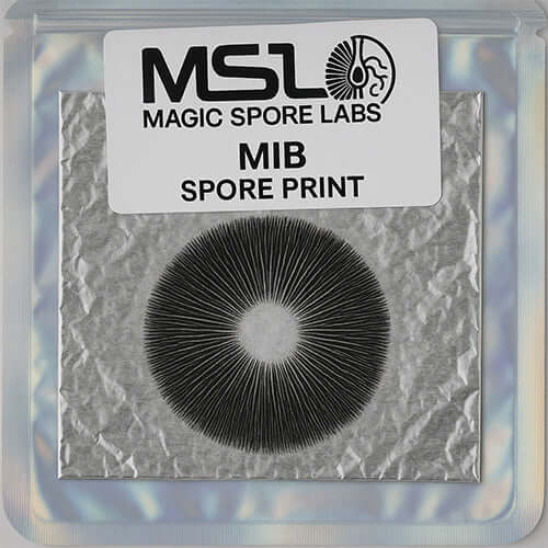 MIB Mushroom Spore Print