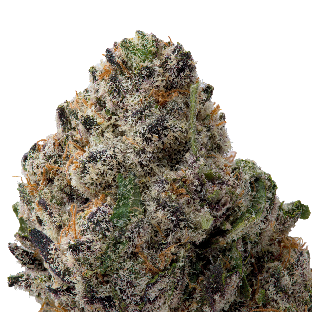 Northern Lights THCa Flower Ounce