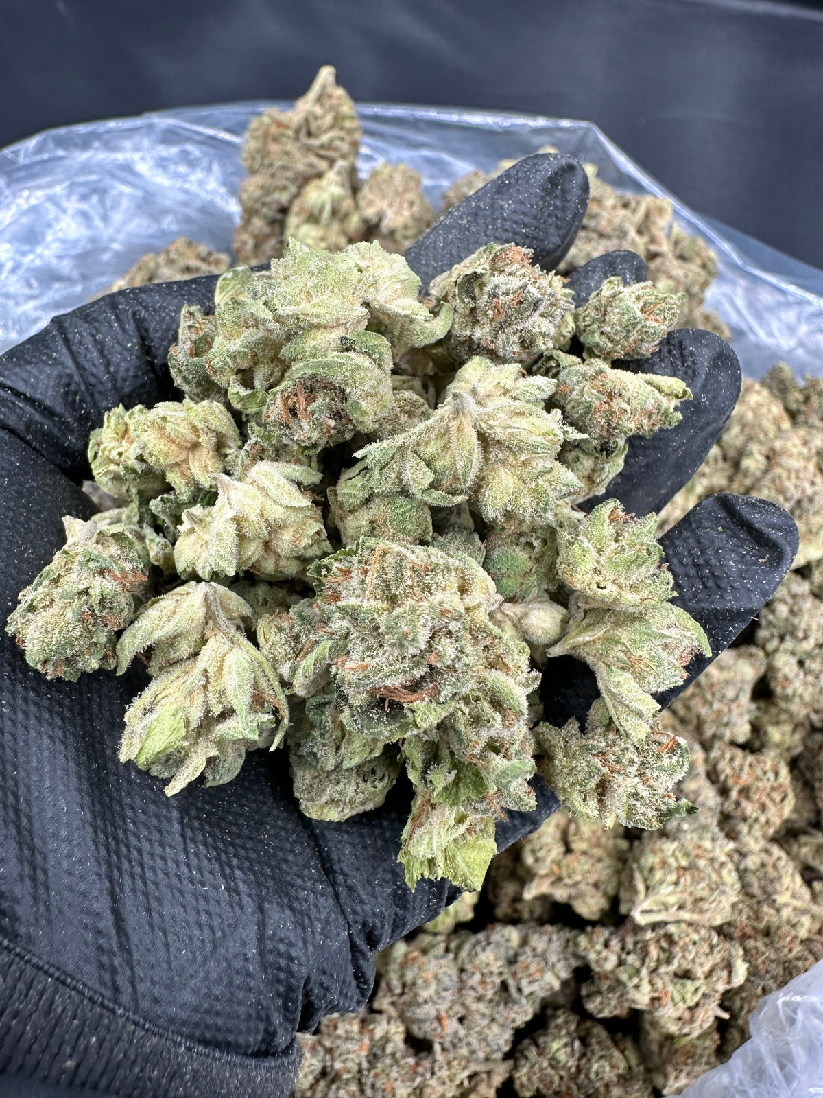 OG Kush THCA Flower (Budget)