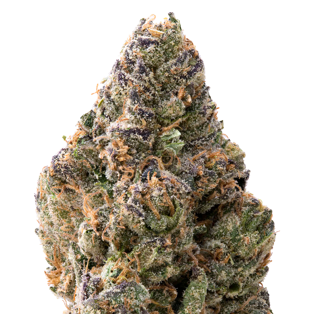 Papaya THCA Flower