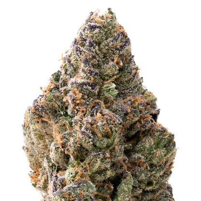Papaya THCA Flower