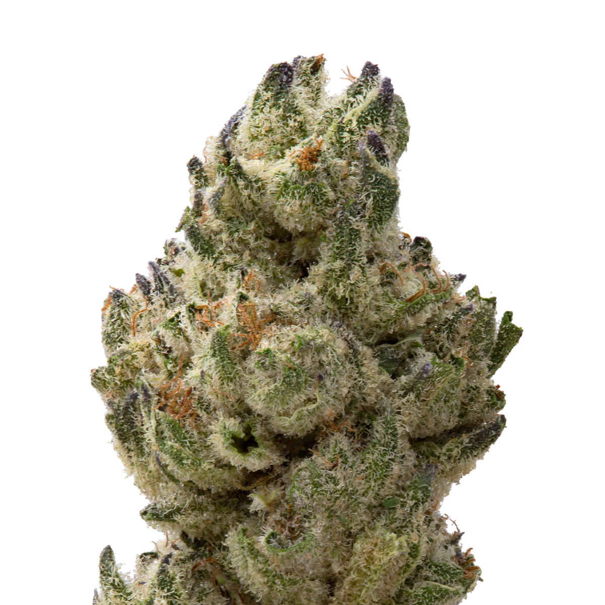Classic Cookies Greenhouse Smalls | 28 Grams
