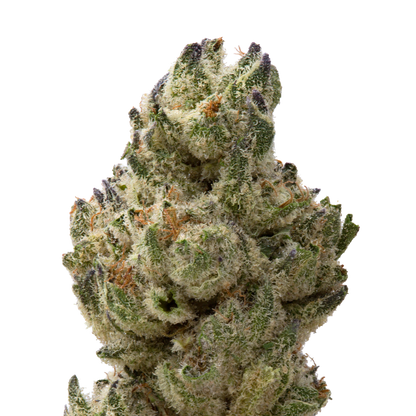 Classic Cookies Greenhouse Smalls | 28 Grams