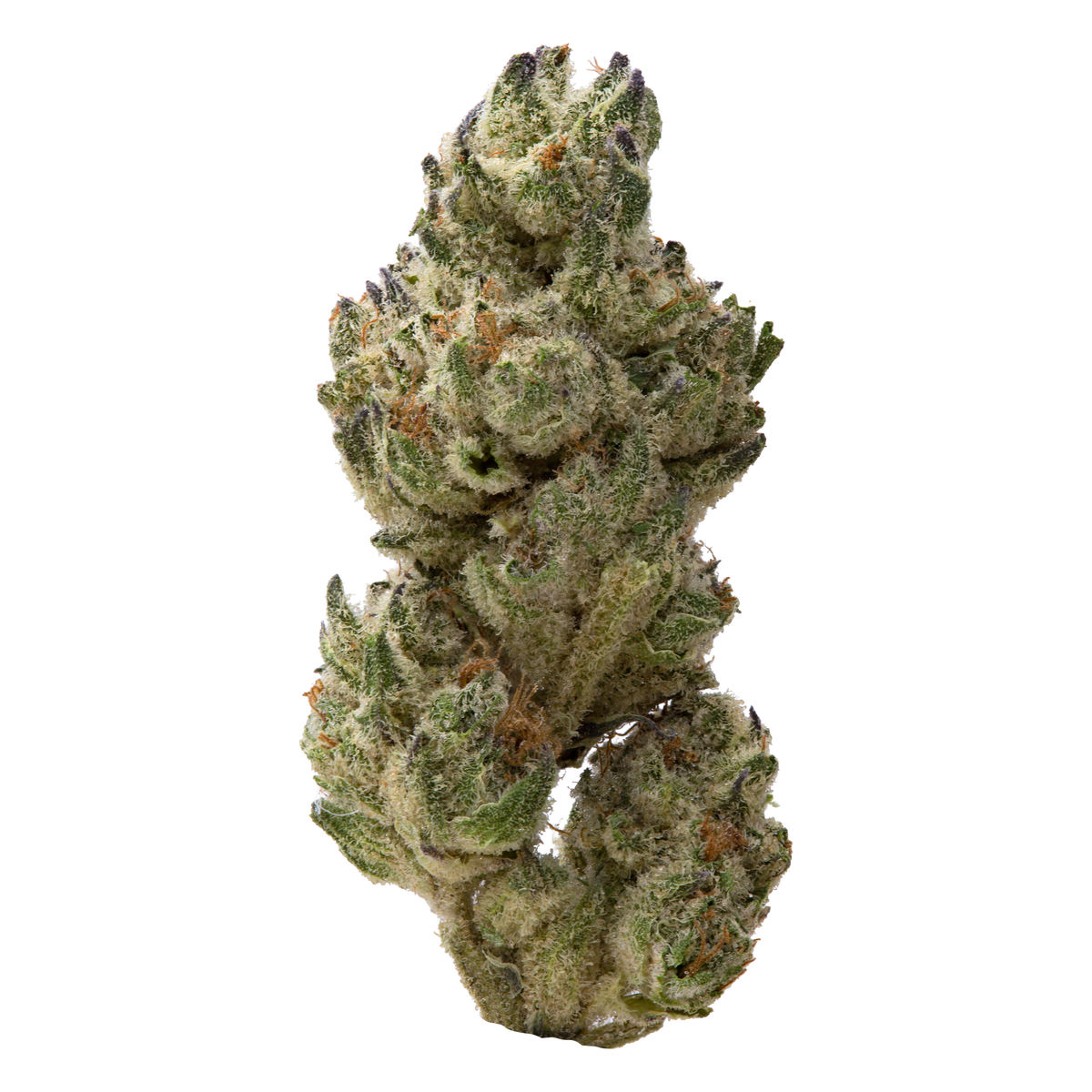 Classic Cookies Greenhouse Smalls | 28 Grams