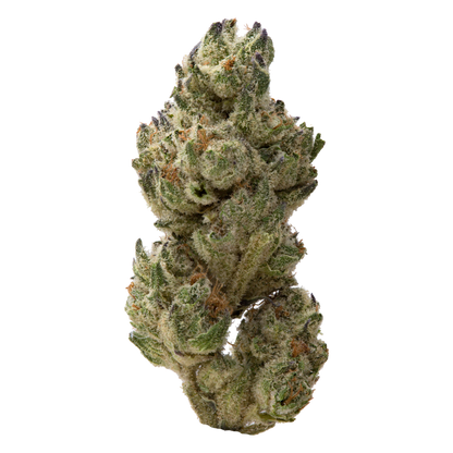 Classic Cookies Greenhouse Smalls | 28 Grams