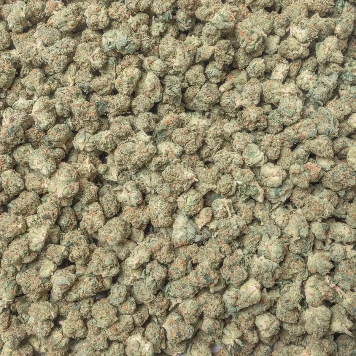 Panama Red Smalls THCa Flower
