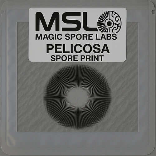 Pellicosa Mushroom Spore Prints