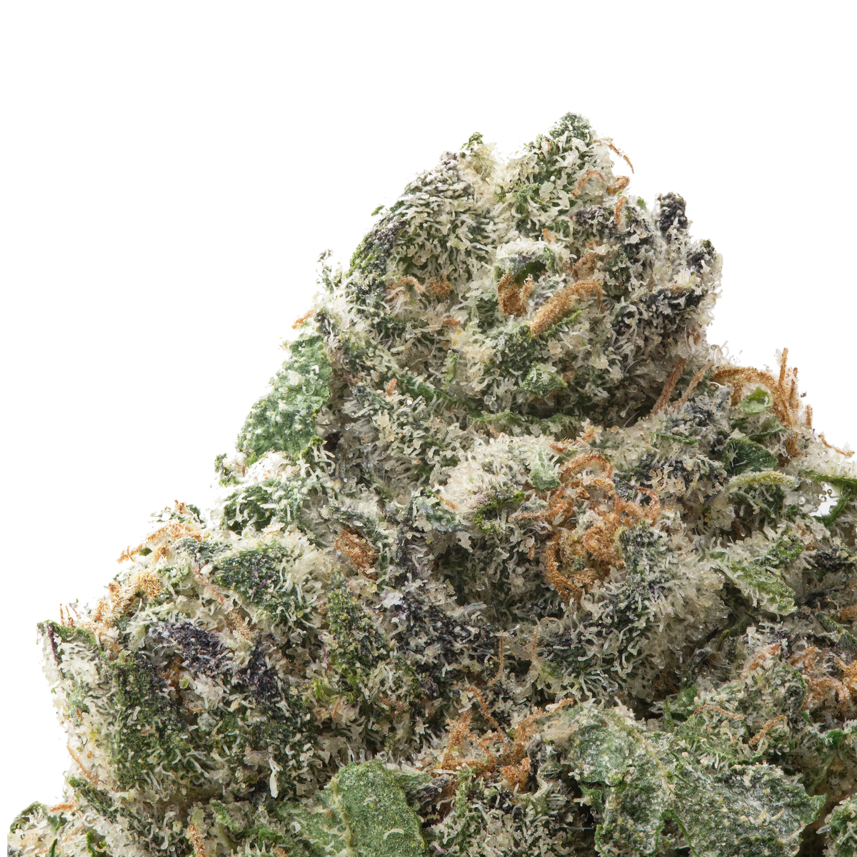 Pineapple Express THCa Flower Ounce