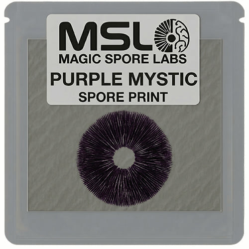 Purple Mystic Mushroom Spore Prints