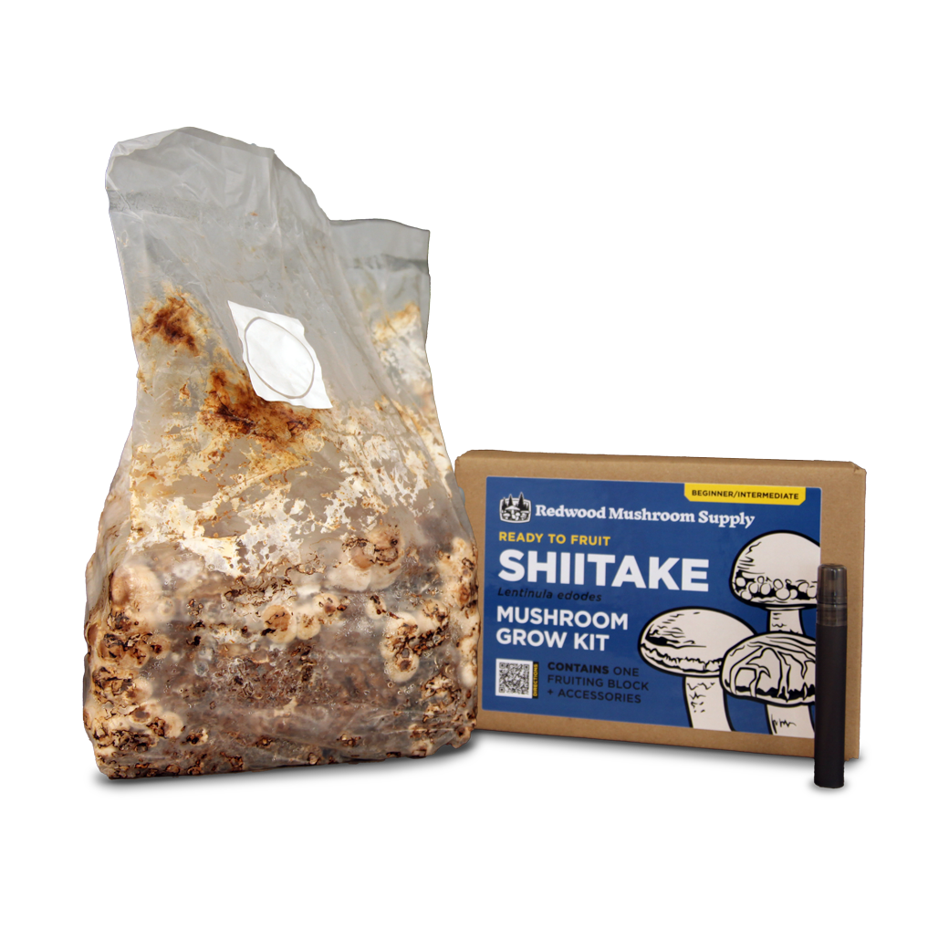 Shiitake Mushroom Grow Kit